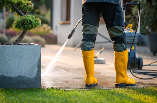 Best Sidewalk Pressure Washing  in Westmere, NY